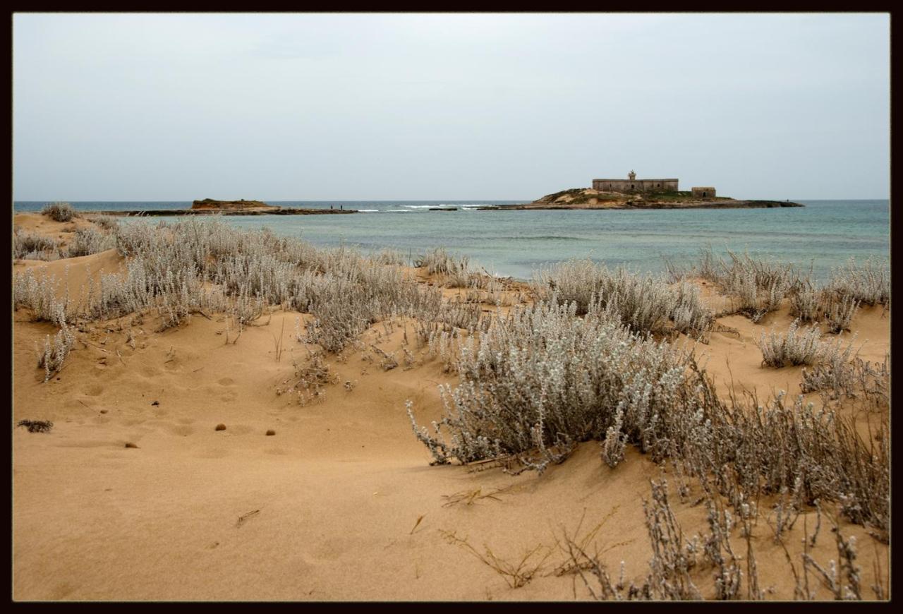 Sealand House Near The Sandy Beach, Parking & Wifi 阿沃拉 外观 照片